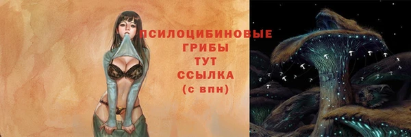 спиды Горнозаводск