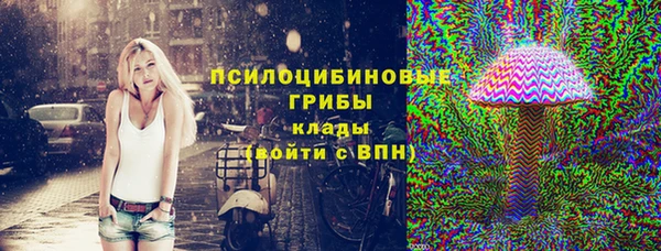 гидропоника Горно-Алтайск
