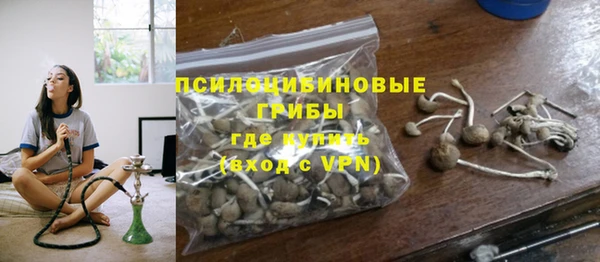 спиды Горнозаводск