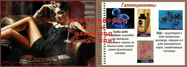 дурь Горняк
