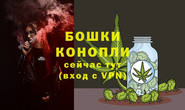 дурь Горняк
