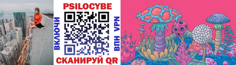 Купить  Темрюк  Псилоцибиновые грибы MAGIC MUSHROOMS 